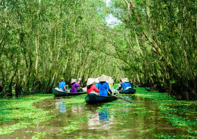 Explore-tra-su-indigo-forest-mekong-delta-1